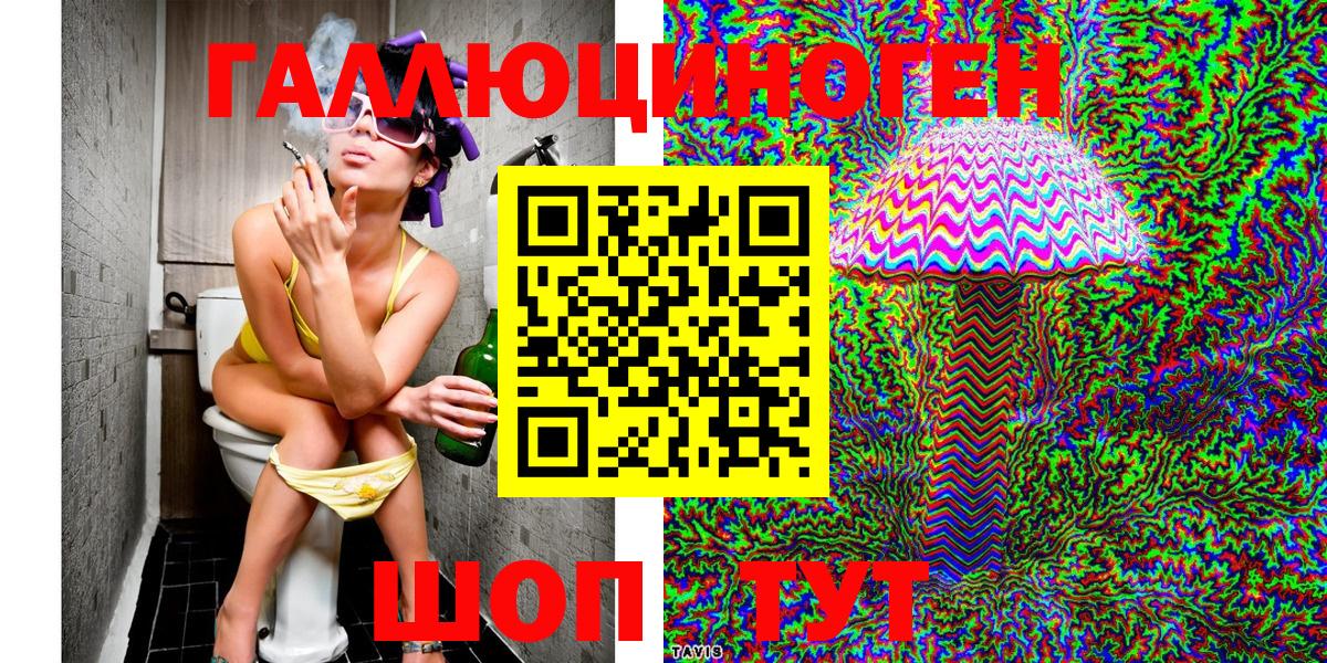 купить закладку  Вход с VPN  Курчалой  Псилоцибиновые грибы MAGIC MUSHROOMS 