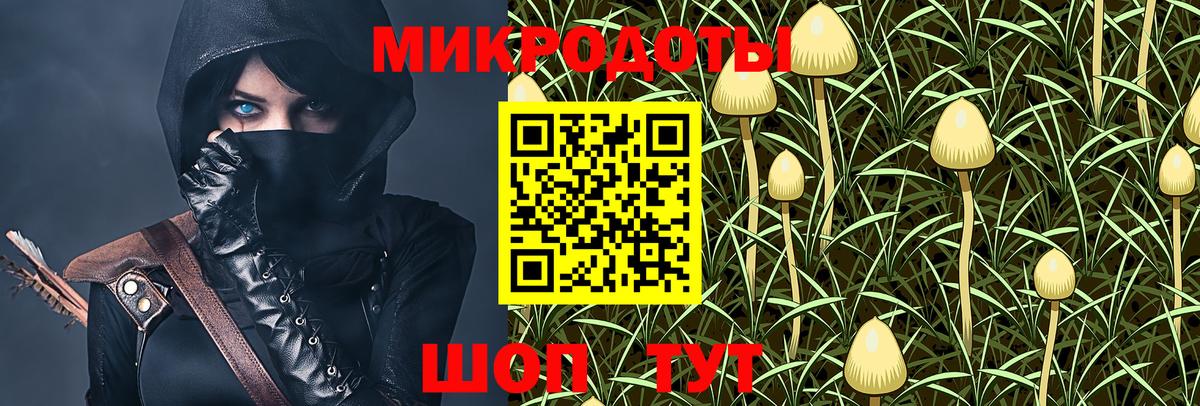 Галлюциногенные грибы Cubensis Курчалой